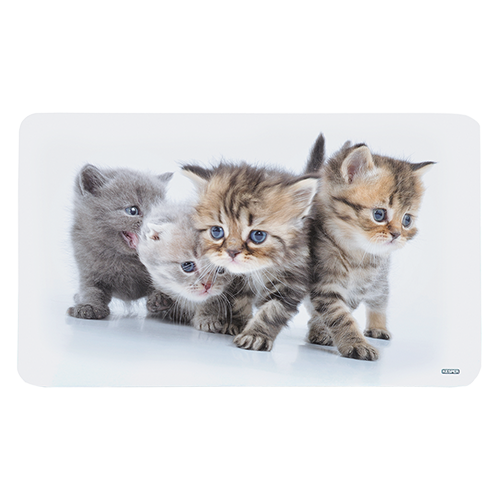 Dekoratyvinė pusryčių lenta, katė