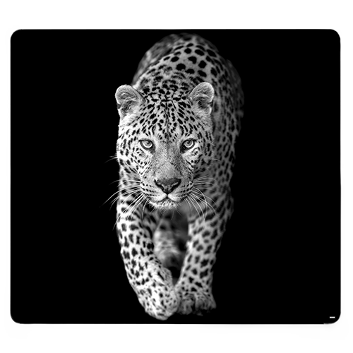 Daugiasluoksnė stiklo pjaustymo plokštelė, "Leopard