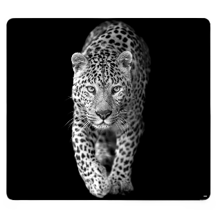 Multi-Glasschneideplatte, Leopard