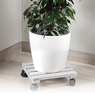 Plant roller, poplar, FSC, grey